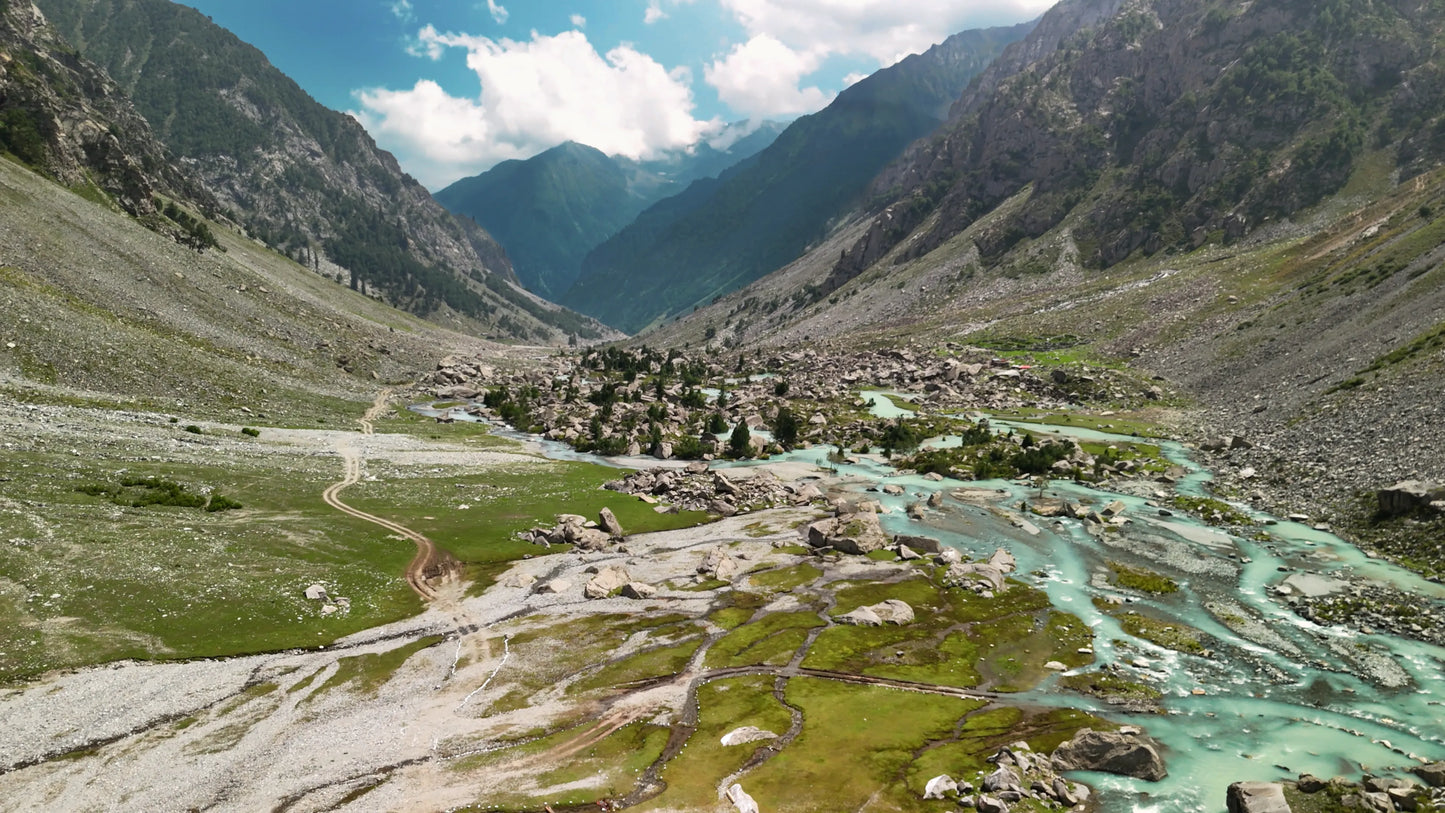 Hunting Upland Meadows