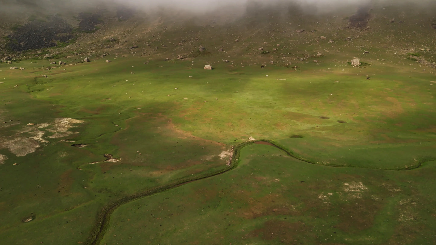 Hunting Upland Meadows