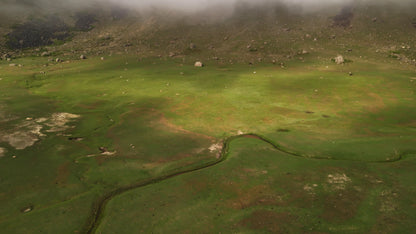 Hunting Upland Meadows