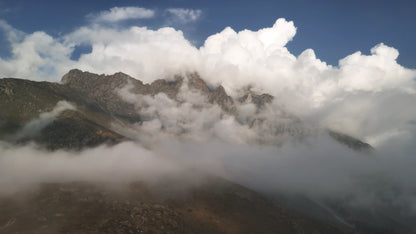Hunting Upland Meadows