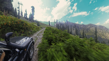 Hunting Upland Meadows