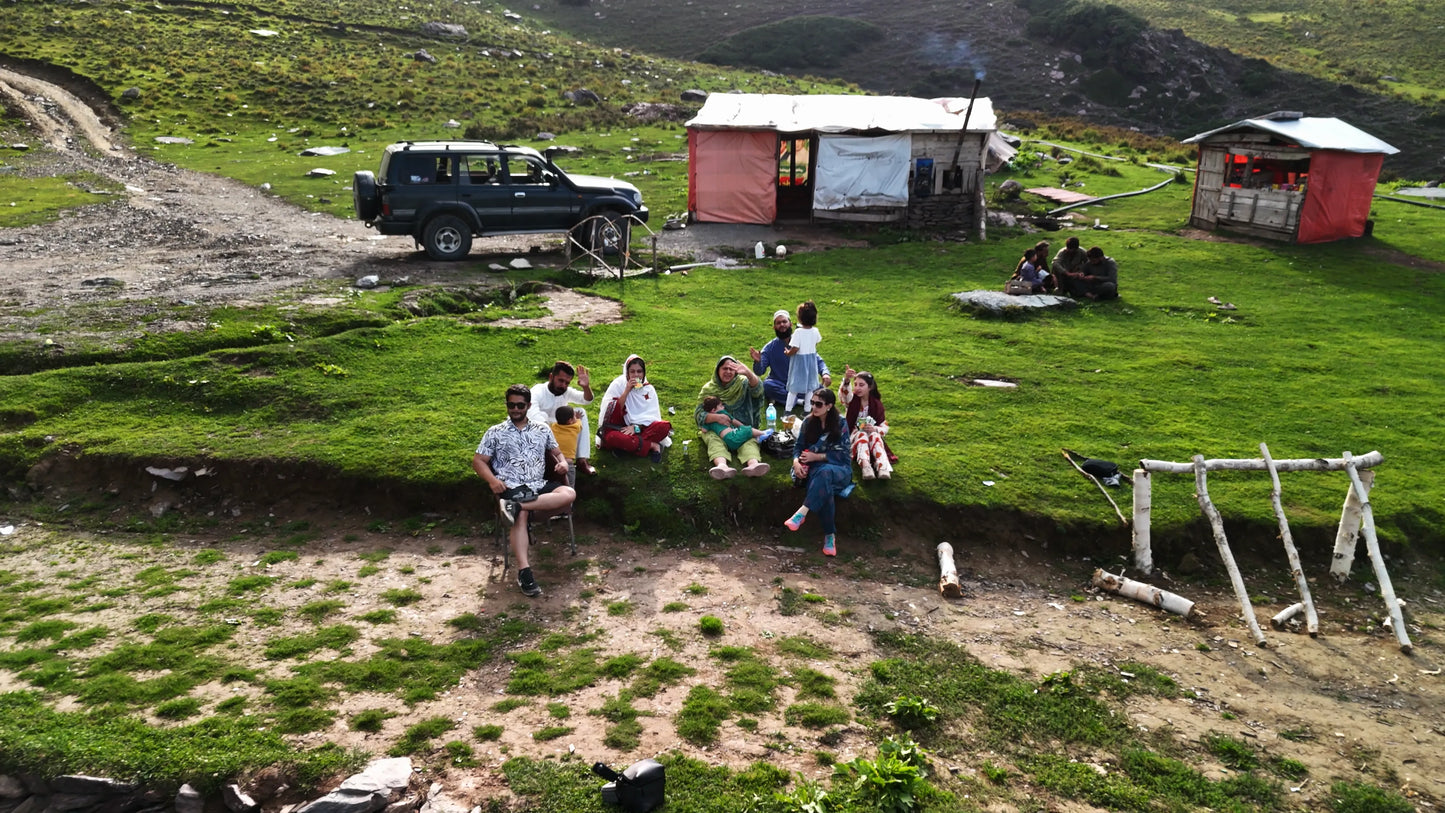 Hunting Upland Meadows