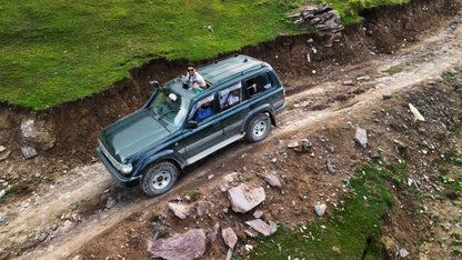 Hunting Upland Meadows