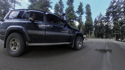 Hunting Upland Meadows