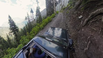 Hunting Upland Meadows