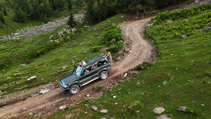 Hunting Upland Meadows
