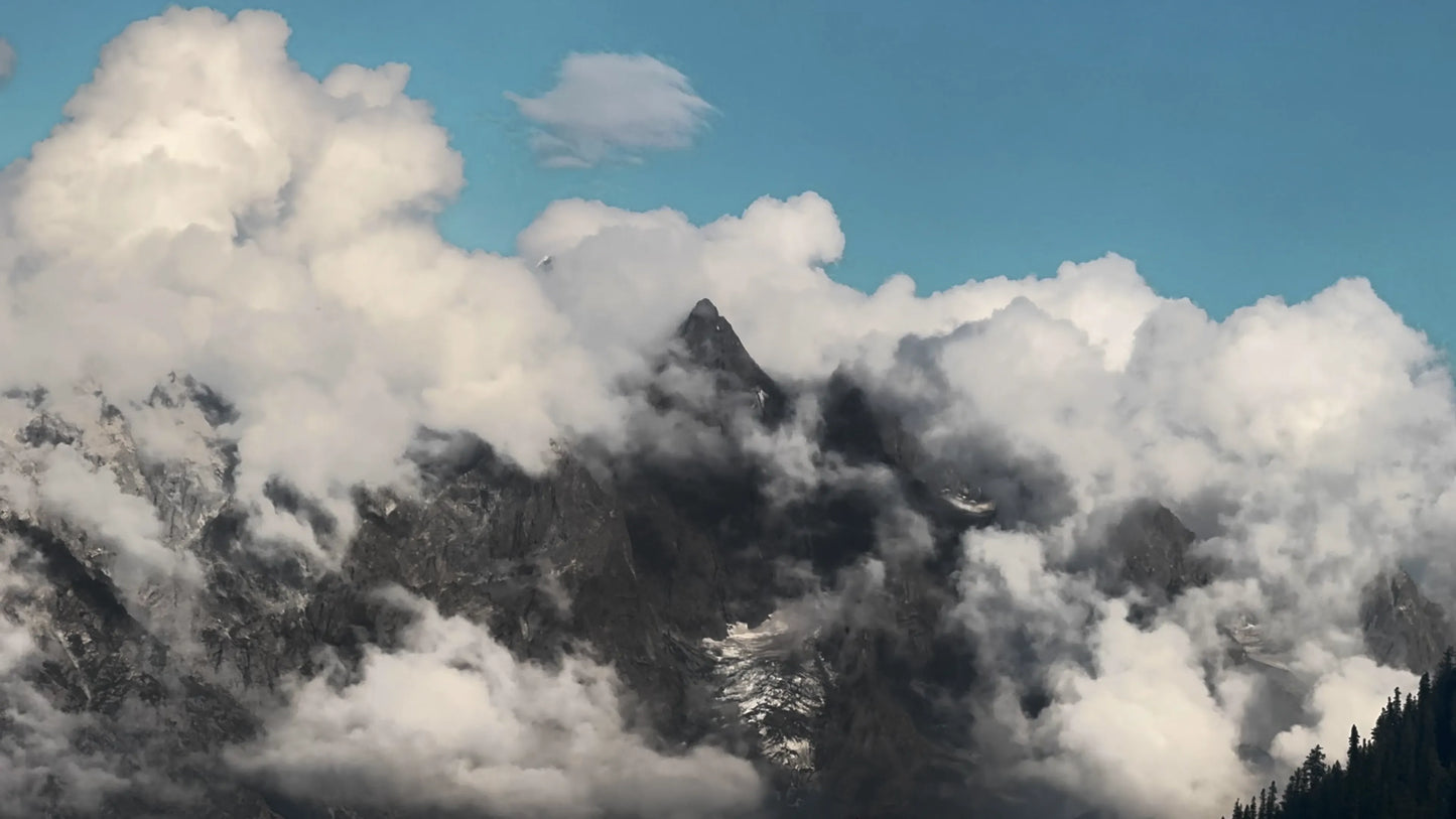 Hunting Upland Meadows
