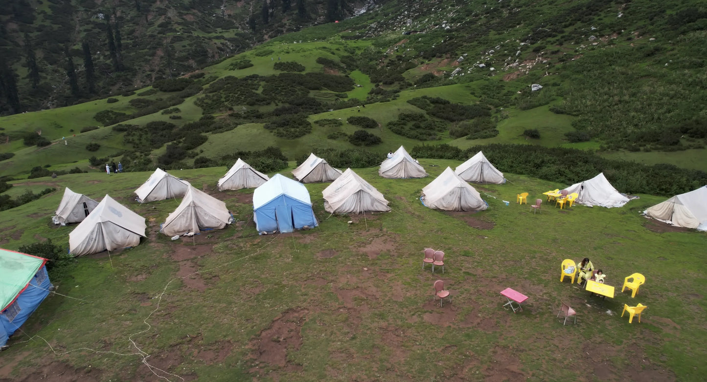 Hunting Upland Meadows