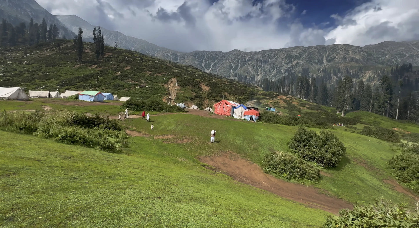 Hunting Upland Meadows