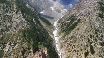 Hunting Upland Meadows