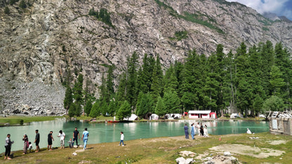 Hunting Upland Meadows