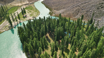 Hunting Upland Meadows