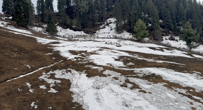 Hunting Upland Meadows