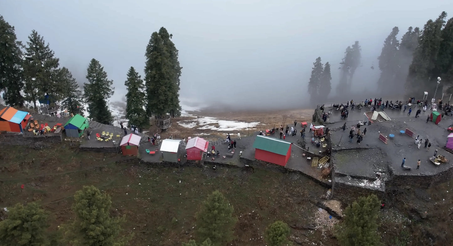 Hunting Upland Meadows