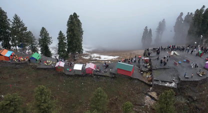 Hunting Upland Meadows