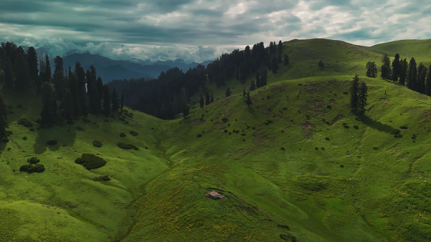 Hunting Upland Meadows