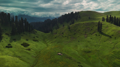 Hunting Upland Meadows
