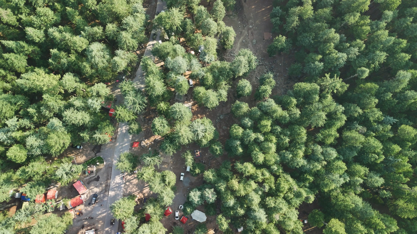 Hunting Upland Meadows
