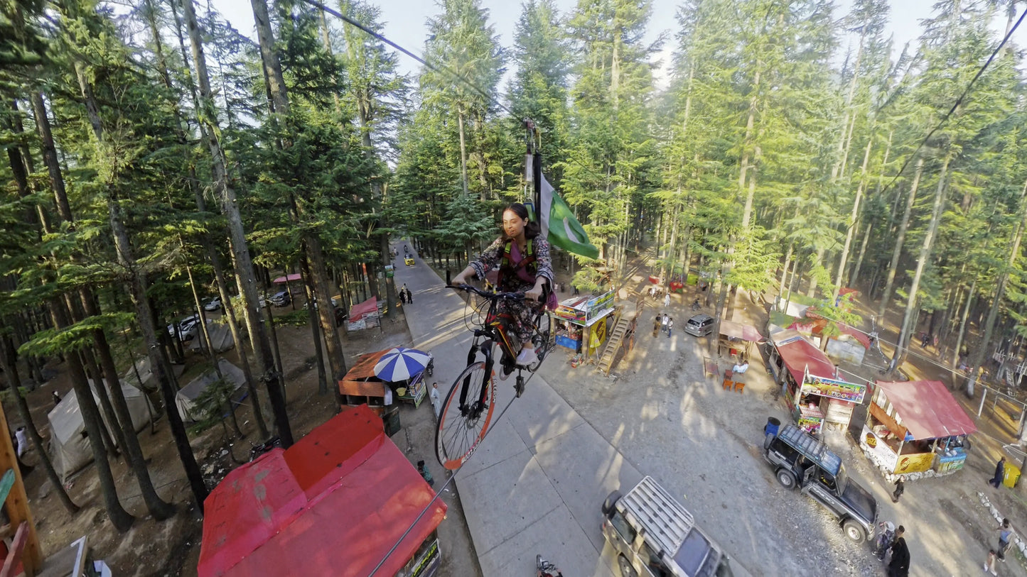 Hunting Upland Meadows