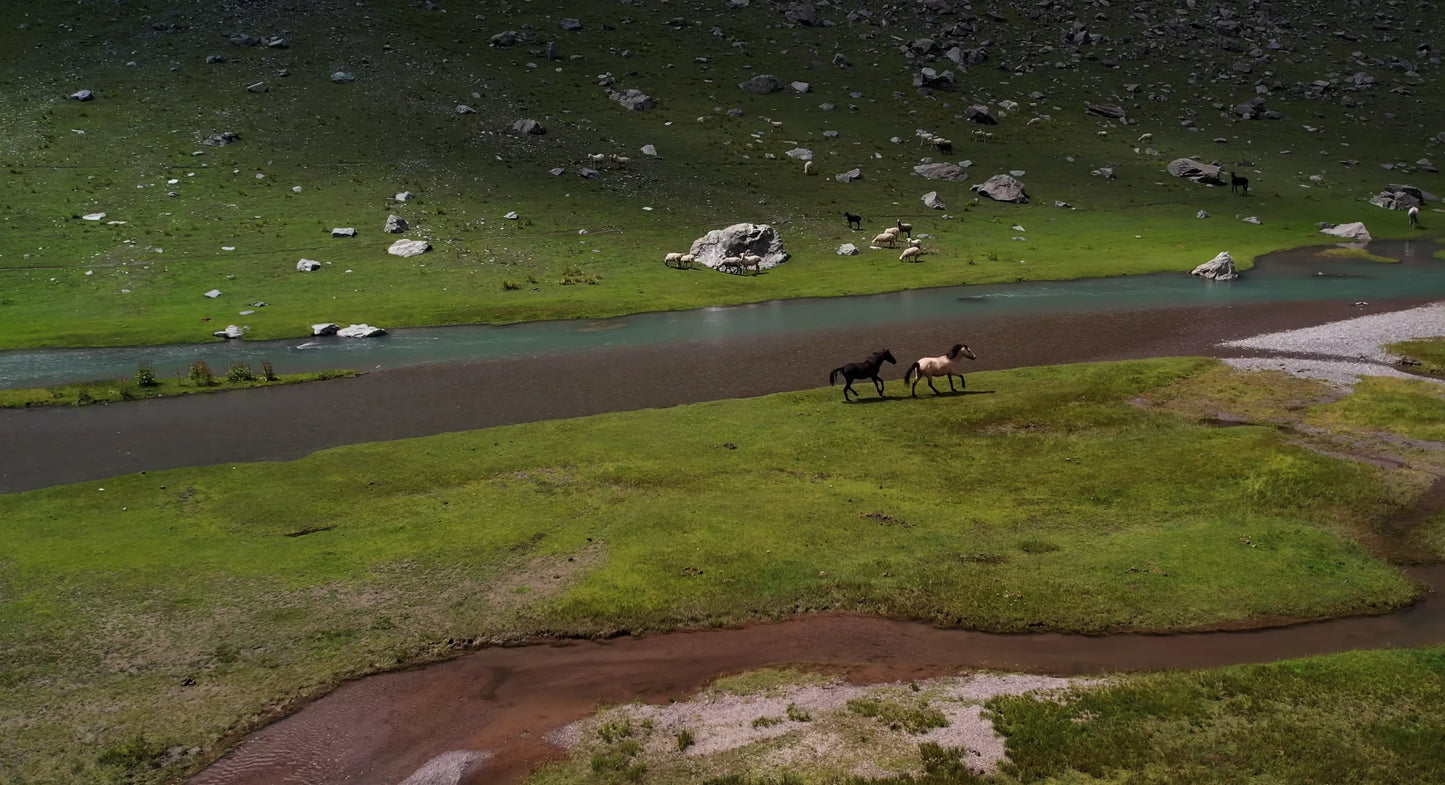 Hunting Upland Meadows