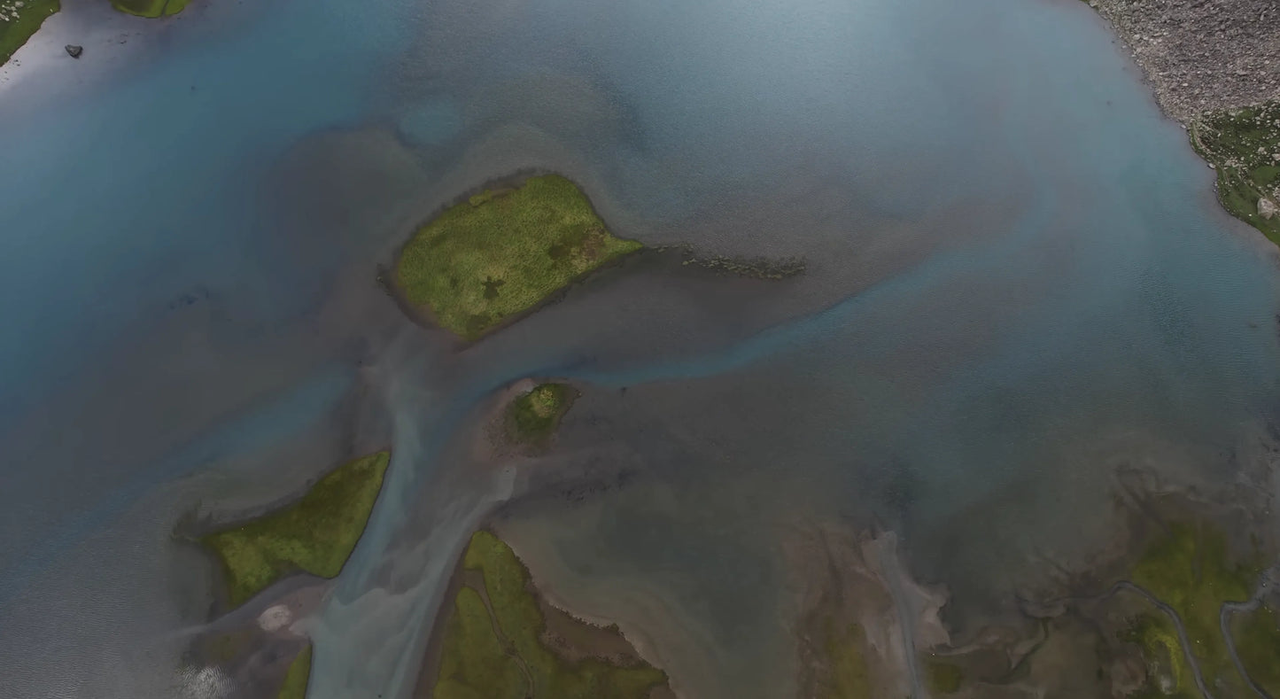 Hunting Upland Meadows