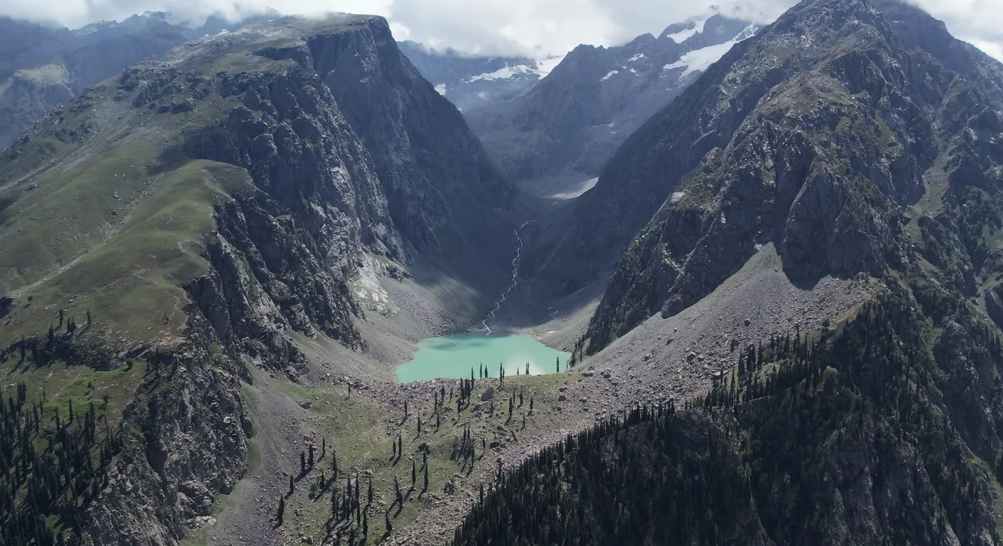 Hunting Upland Meadows